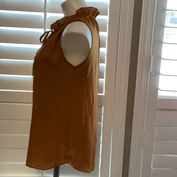 Elegant Ruffled Sleeveless Blouse - Brown - Picture 5 of 8